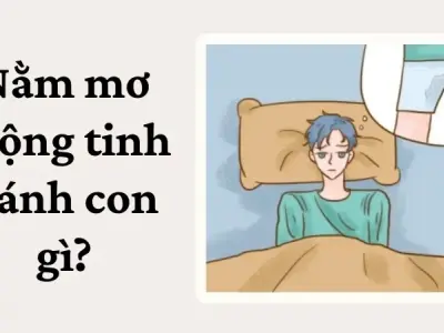 Nằm mơ mộng tinh đánh con gì để nhanh trúng lớn