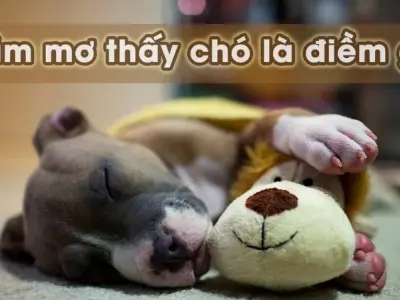 Nằm mơ thấy chó là điềm gì? May mắn hay cảnh báo?