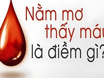 Mơ thấy máu là điềm tốt hay xấu? Giải mã giấc mơ thấy máu