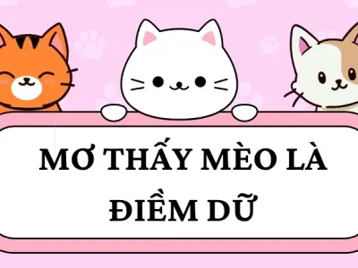 Mơ thấy mèo là điềm lành hay dữ? Cách hóa giải giấc mơ này