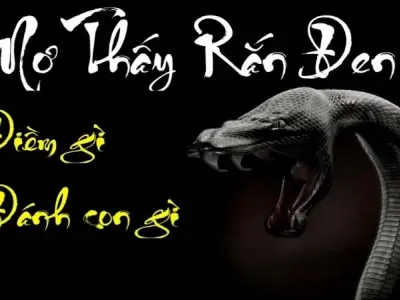 Giải thích nằm mơ thấy rắn đen theo quan niệm tâm linh