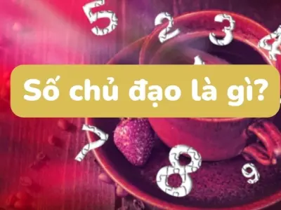 Số chủ đạo là gì trong thần số học? Giải mã chi tiết nhất