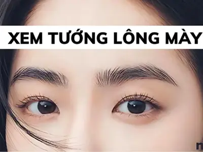 Tướng lông mày tốt giúp cải thiện sự nghiệp và tài lộc