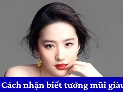 Cách nhận biết tướng mũi giàu giúp dự đoán tài vận chuẩn xác