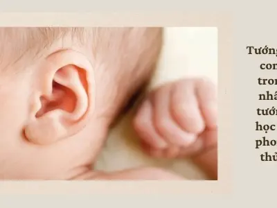 Tướng tai cong nói lên điều gì về tính cách và vận mệnh