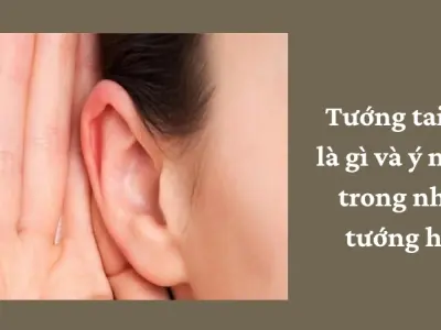 Tướng tai dơi có hợp phong thủy giúp thu hút tài lộc không?