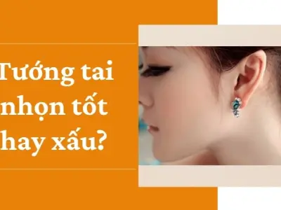 Tướng tai nhọn tốt hay xấu? Khám phá vận mệnh qua dáng tai