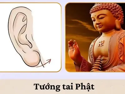 Ý nghĩa tướng tai Phật trong phong thủy và cuộc sống hiện đại