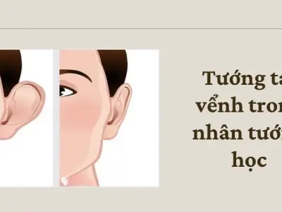 Tướng tai vểnh trong nhân tướng học có phải dấu hiệu phúc lộc