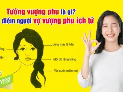 Cách nhận biết vượng phu ích tử qua tướng số nam và nữ