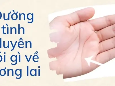 Đường tình duyên nói gì về tương lai hôn nhân của bạn?