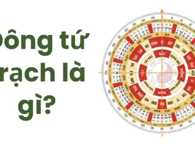 Đông tứ trạch là gì? Hướng dẫn chọn nhà hợp tuổi chính xác