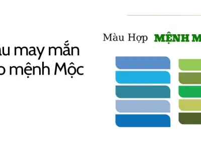 Cách chọn màu sắc và vật phẩm phong thủy cho người mệnh Mộc