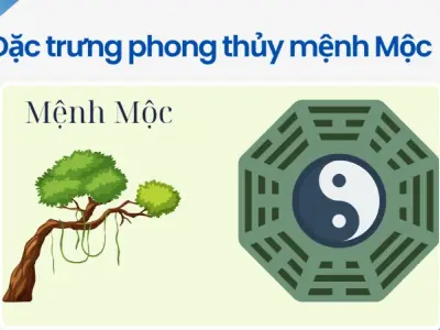 Trải nghiệm và đánh giá phong thủy cho người mệnh Mộc chi tiết