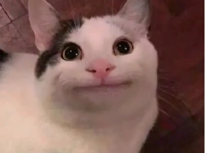 Avatar Ảnh Đại Diện Meme Hài Hước: Biểu Tượng Nổi Loạn Kỹ Thuật Số