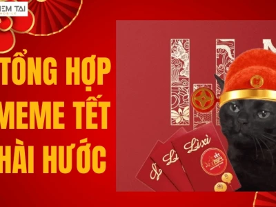 Avatar Tết Meme 2026: Tuyển Tập Ảnh Đại Diện Hài Hước, Độc Đáo