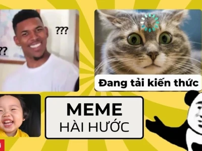 BST 750+ Avatar Meme Mèo Bựa Hài Hước Cho Mạng Xã Hội 2026