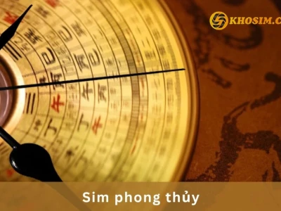 Dịch Sim Phong Thủy 2026: Hướng Dẫn Chi Tiết Và Công Cụ Xem Bói Chuẩn Xác