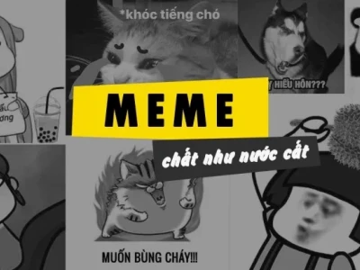 Kho ảnh meme vui vẻ hài hước nhất 2026: Cười thả ga không ngừng nghỉ