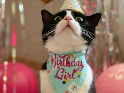 Những Meme Happy Birthday Hài Hước Nhất Năm 2026