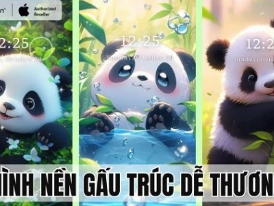 Tổng hợp ảnh nền avatar gấu cute độc đáo cho năm 2026