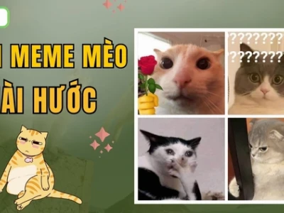 Tổng hợp Meme Ngạc Nhiên: Biểu Cảm Hài Hước Bất Tận 2026