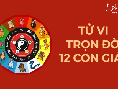 Tử Vi Tướng Số Trọn Đời: Khám Phá Vận Mệnh Năm 2026