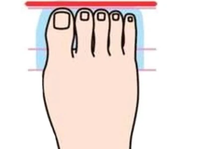 Xem Tướng Ngón Chân: Hé Lộ Vận Mệnh Giàu Sang Hay Khó Khăn