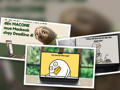 Top bộ hình nền meme về sở thích cá nhân độc lạ và hài hước nhất 2026